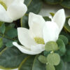 WF000240021-1 Artificial White Magnolia Spring Wreath – Floral Front Door Wreath with Eucalyptus