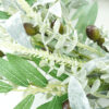 Artificial Olive Leaf Wreath – Faux Greenery Spring Wreath for Front Door