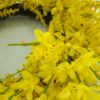 WF000240029-YE-1 Artificial Yellow Primrose Spring Wreath – Floral Front Door Wreath