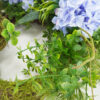 Artificial Pink Hydrangea Spring Wreath – Bird's Nest Floral Front Door Wreath