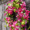 WF000240074-3 Artificial Bougainvillea Spring Wreath – Pink Floral & Greenery Wreath for Front Door