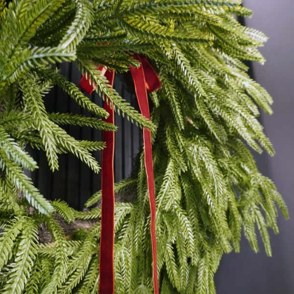 Artificial Norfolk Pine Christmas Wreath with Velvet Bow